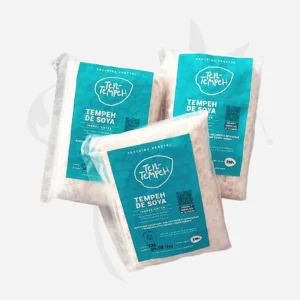 Tempeh de Soya